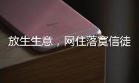 放生生意，网住落寞信徒丨记者手记