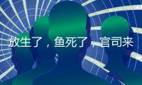快排公司十年历程，霸屏兔 seo 的崛起与坚守
