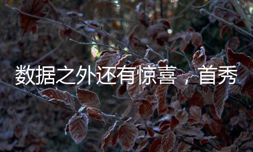 开拓者队几乎每一次落阵地