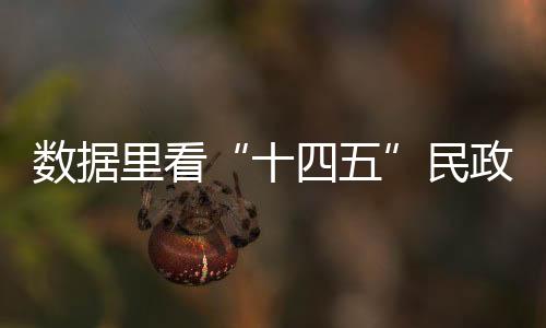 发展专门设置1个指标专栏