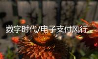 数字时代/电子支付风行内地：用过谁愿放手