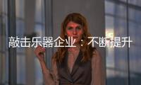 敲击乐器企业：不断提升自身 将大数据转化为竞争优势