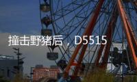 撞击野猪后，D5515动车机械师的致命检修