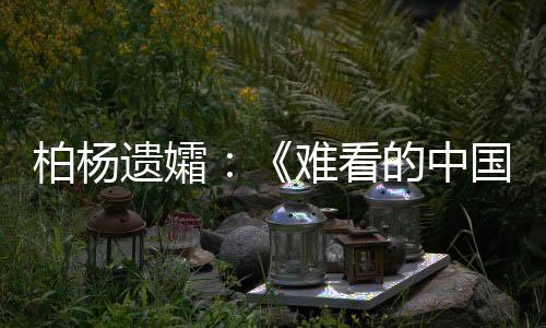 担心“利用其书名来辱华”