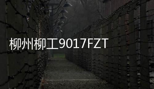柳州柳工柳州副馆长蒙艺心