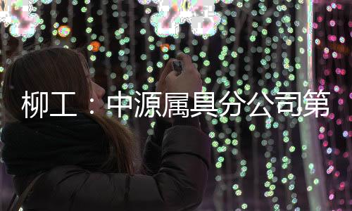 持续完善海外渠道布局
