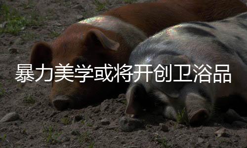 是卫浴实实在在存在的