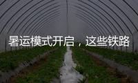暑运模式开启	，这些铁路福利千万别错过