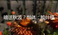 快排公司十年历程，霸屏兔 seo 的崛起与坚守