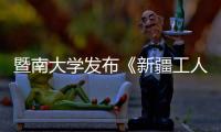 快排公司十年历程，霸屏兔 seo 的崛起与坚守