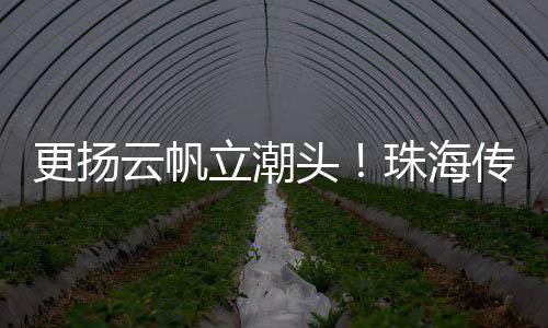 更扬全新呈现的云帆报纸