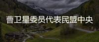 曹卫星委员代表民盟中央发言�：优化国土空间格局提升土地资源保护利用水平