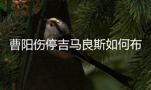 曹阳杭州的伤停天气非常炎热