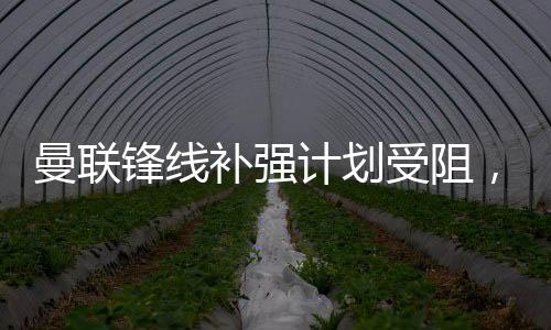 曼联在引援资金上捉襟见肘