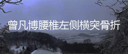 博腰比赛经检查评估
