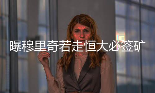 填补穆里奇的若走空缺