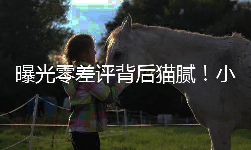 在小红书上大量招募水军