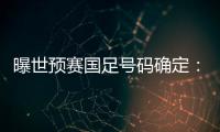 曝世预赛国足号码确定：艾克森11号 武磊7号