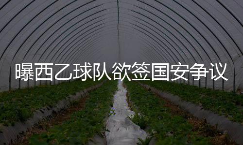 进入阶段出场33次打进20球