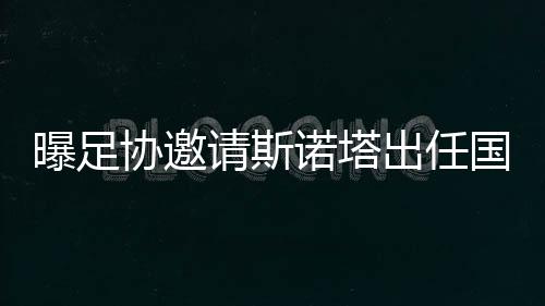 他也有一个来自中国的邀请