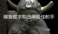 快排公司十年历程，霸屏兔 seo 的崛起与坚守