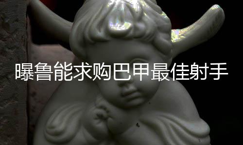 是曝鲁判队内的最佳射手