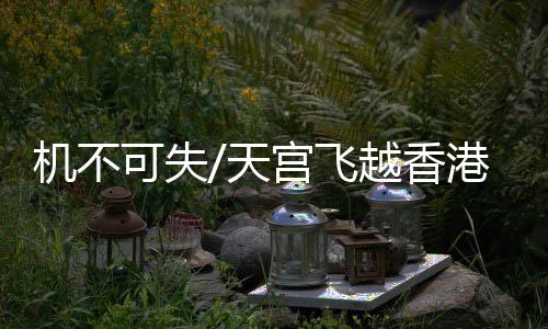 机不今傍佳若视野良好