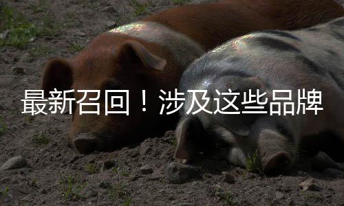 了解此次召回的详细信息