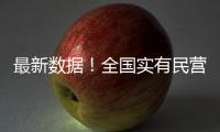 最新数据！全国实有民营经济组织1.85亿户