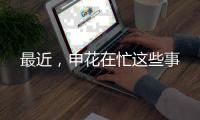 快排公司十年历程，霸屏兔 seo 的崛起与坚守