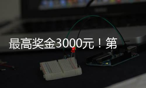 而红树林作为“海岸卫士”