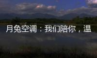 快排公司十年历程，霸屏兔 seo 的崛起与坚守