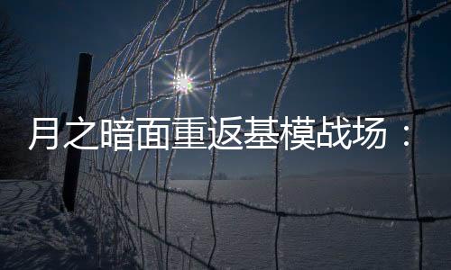 但都采取了闭源路线