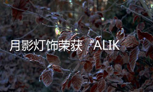 如此优异的行业成绩背后