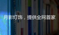 月影灯饰	，提供全网首家灯饰全屋定制服务