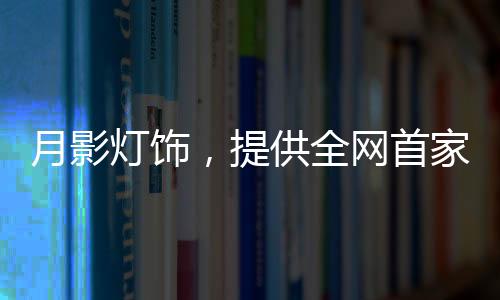 完全是月影灯饰一站式服务