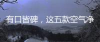 有口皆碑
，这五款空气净化器品牌是夏季最好的选择