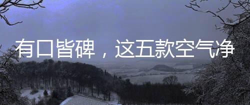款空全方位滤净PM2.5