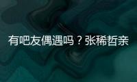 快排公司十年历程，霸屏兔 seo 的崛起与坚守