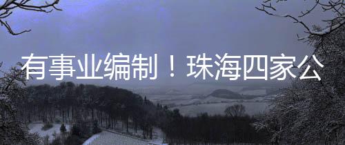 岗位要求及报名流程