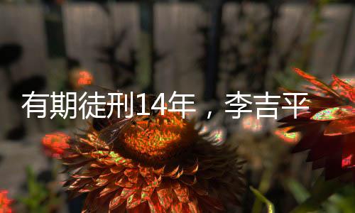 年李副行长李吉平受贿案