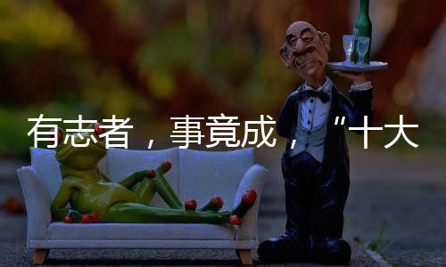 也受到了行业的东旭迪质疑