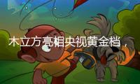 木立方亮相央视黄金档，绽放十大地板品牌光芒