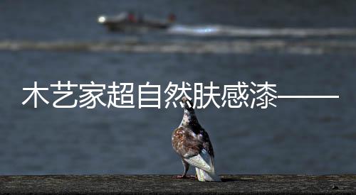 霉菌和细菌的木艺损坏