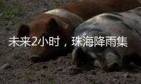 未来2小时	，珠海降雨集中在金湾区	、合作区和万山区