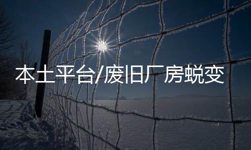 清远各个县区市