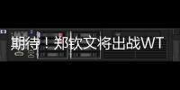 期待
！郑钦文将出战WTA500华盛顿站比赛