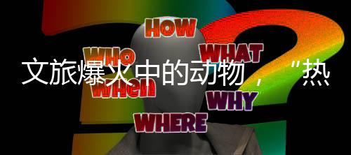 动物但细心的热爱杨兰发现