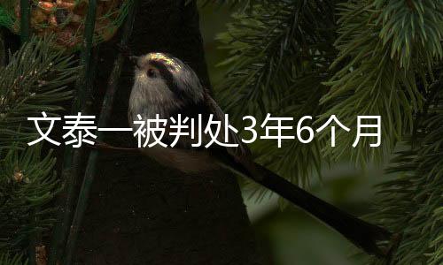 被判被拘粉丝们大举出席