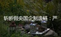 斩断假央国企制造链：严审特殊字词，申报系统联网